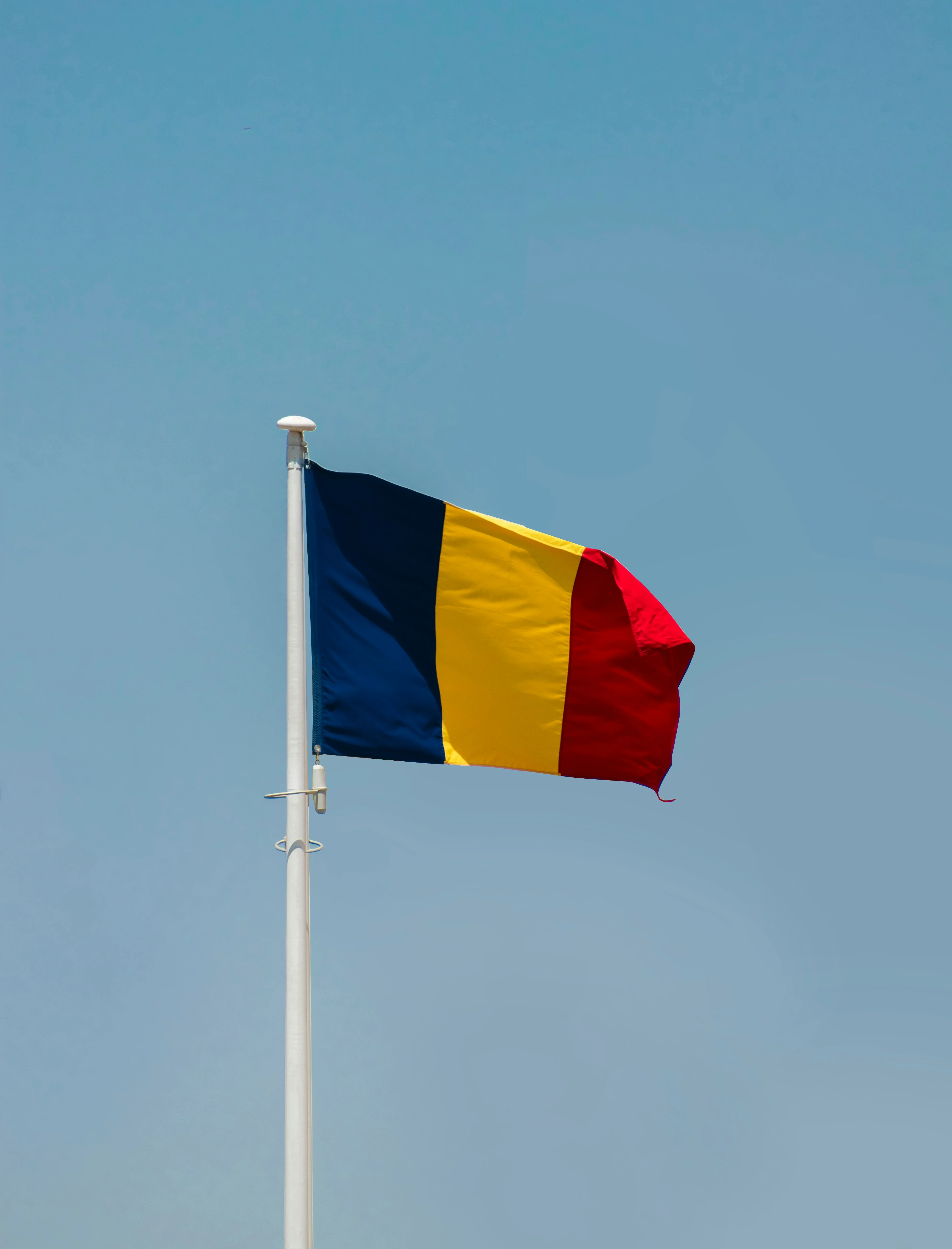 Romanian flag